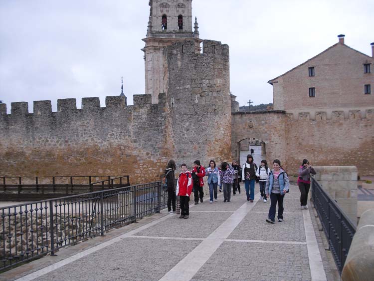 soria21