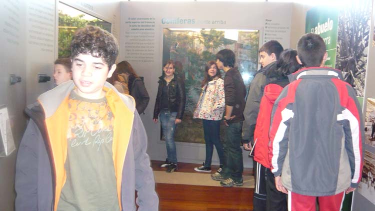 Imagen 016