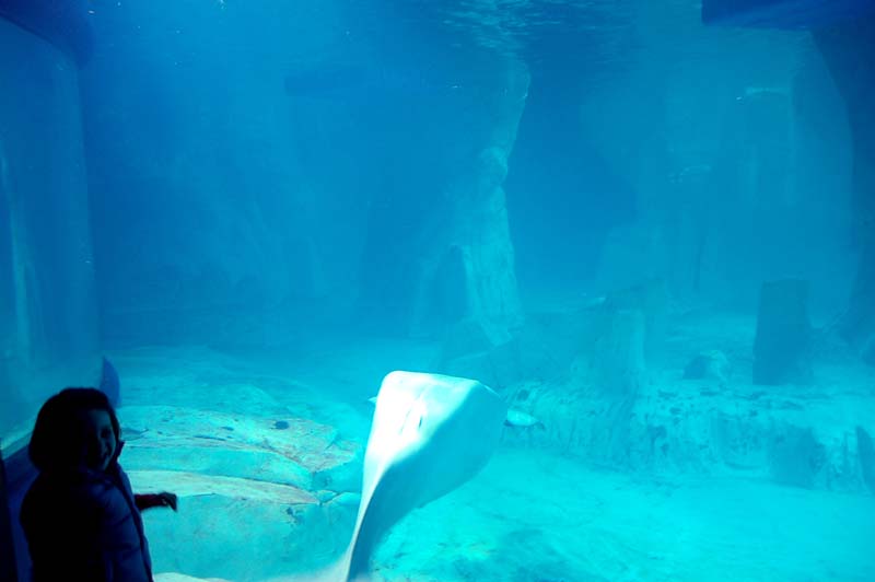 viaje a Valencia 119