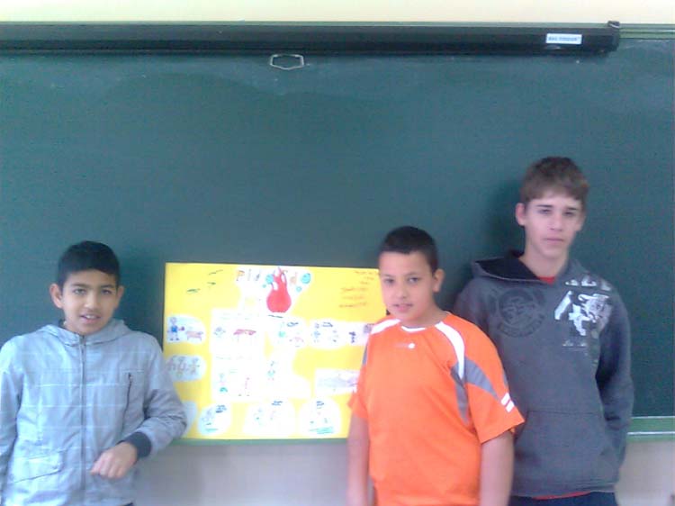a8-taller