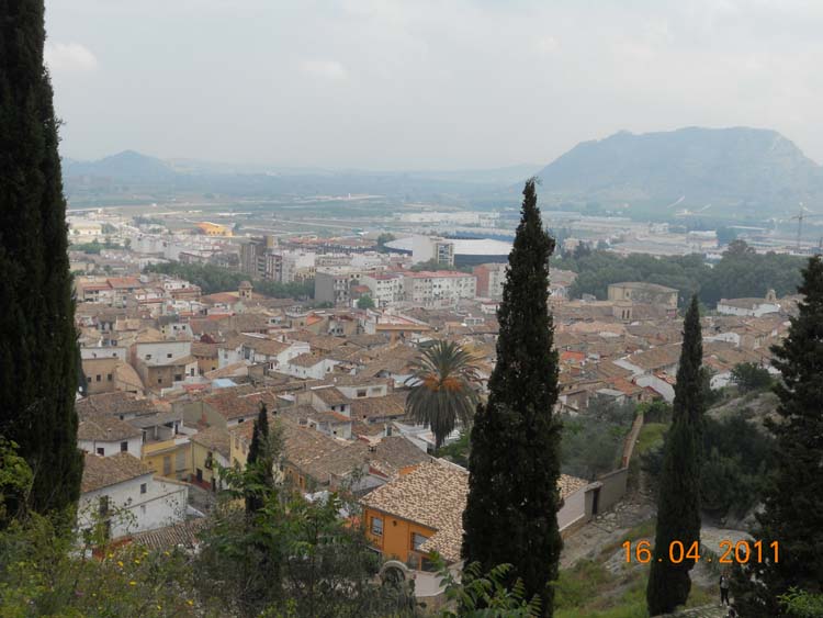 DSCN1391