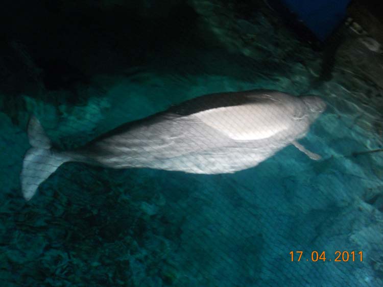 DSCN1465