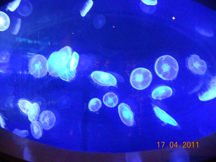 DSCN1478