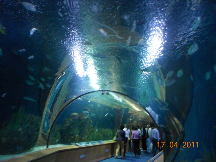 DSCN1480