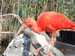 DSCN1438