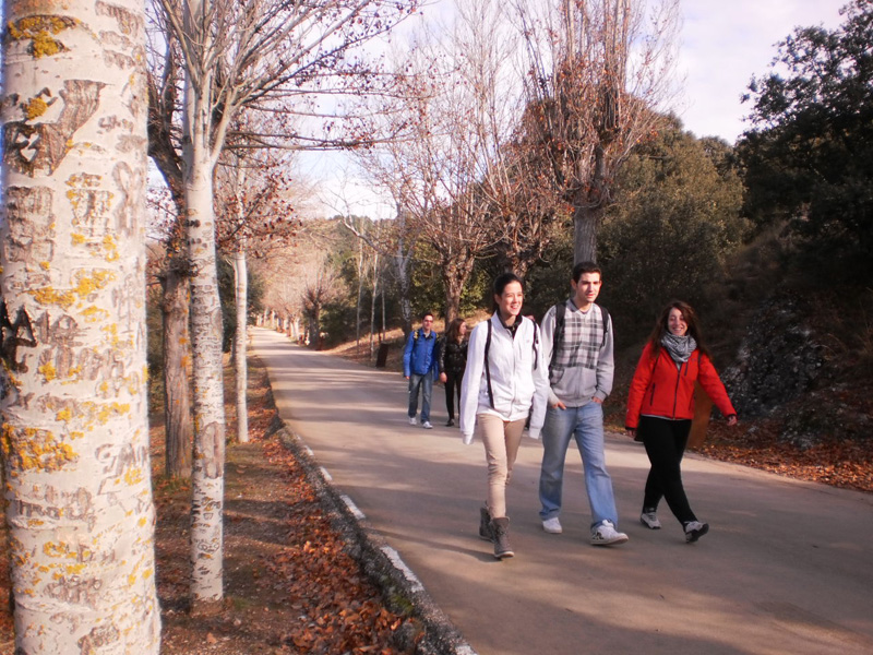 b_soria (4)