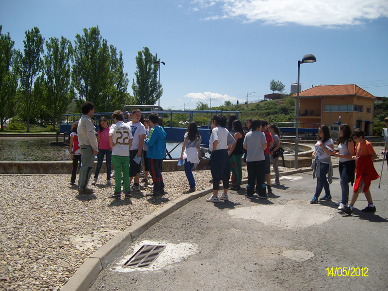 d_oja (3)