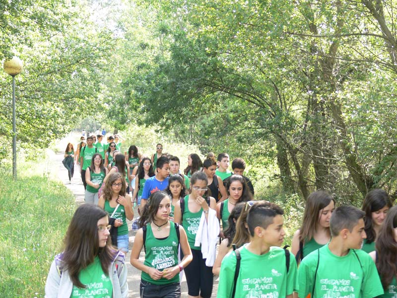 a_vico (7)