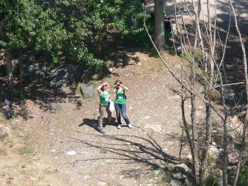 f_vico (3)
