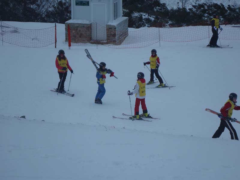 skib (6)