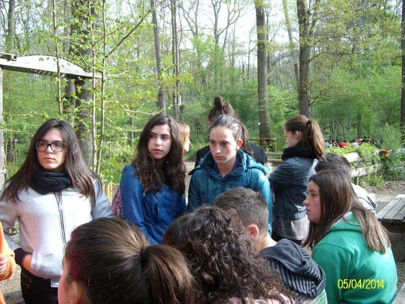 b9_Francia