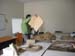 cerv_a (2)
