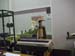 cerv_d (5)
