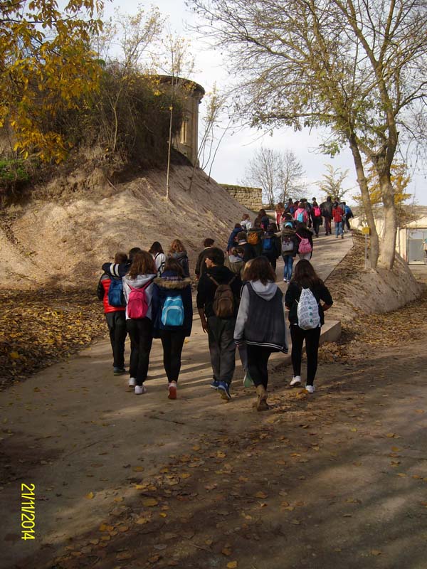 ruta_c (1)