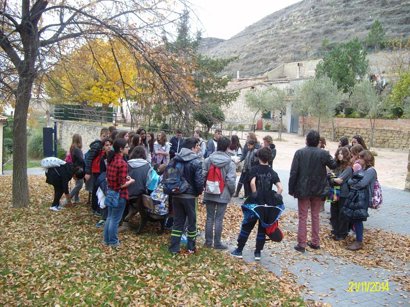 ruta_d (8)