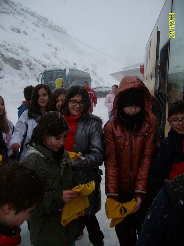 nieve_f (3)