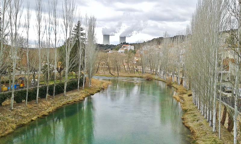 Trillo_b6