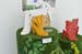 expo_b (5)