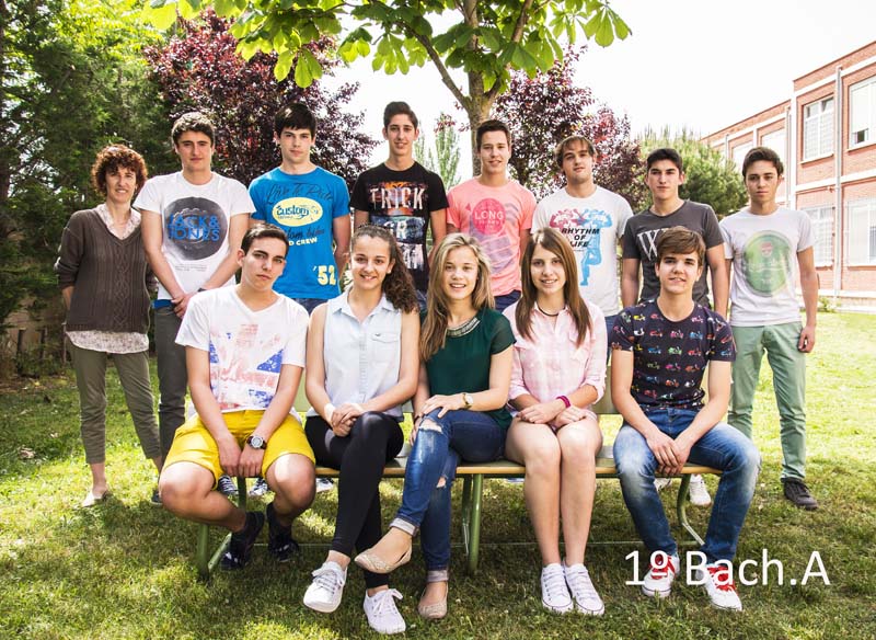 p_bachi1a