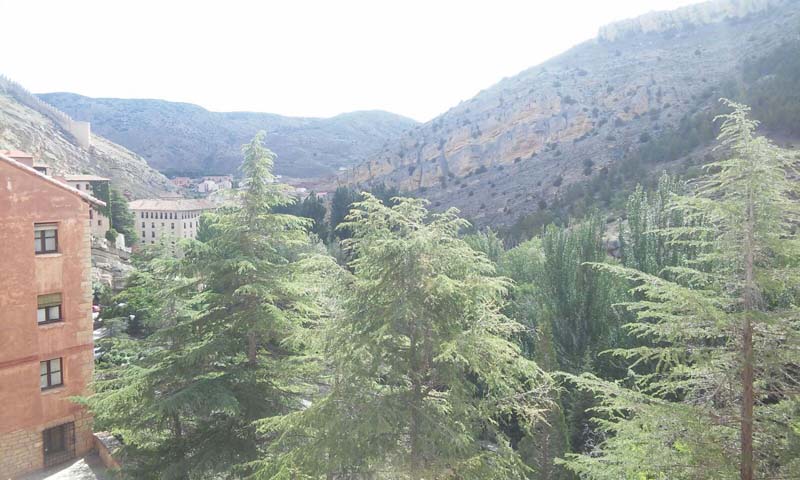 gandia_a (5)