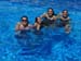 gandia_d (5)