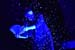 Frazer_b8