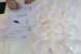 eno_c (4)
