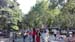 pais_d (1)