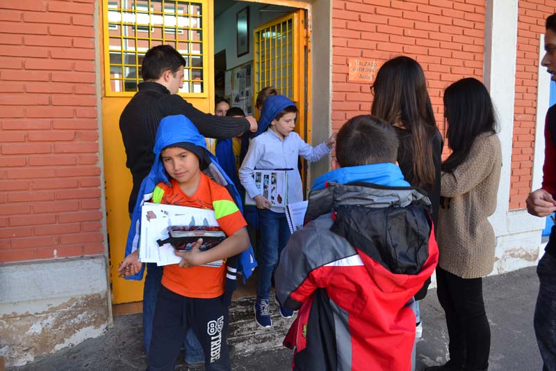 ceip_a (4)