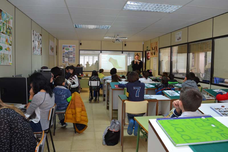 ceip_b (1)