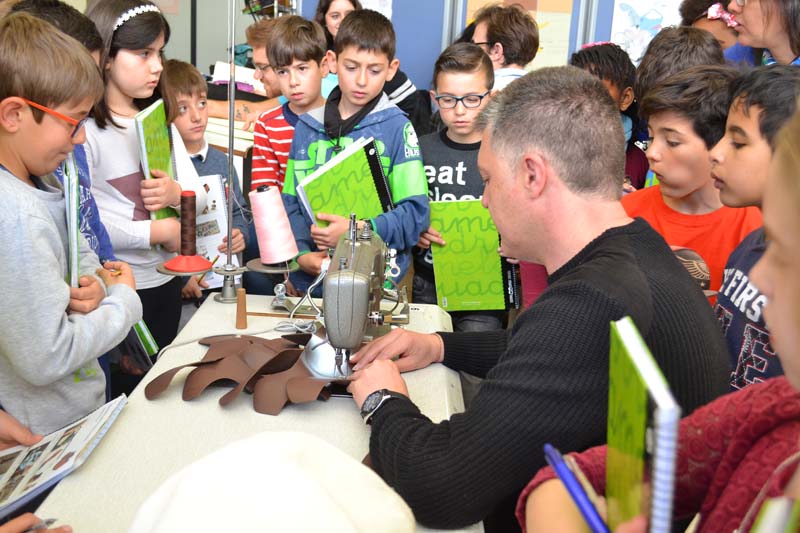 ceip_b (6)