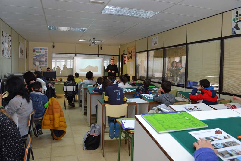 ceip_b