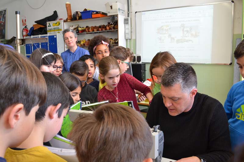 ceip_c (3)