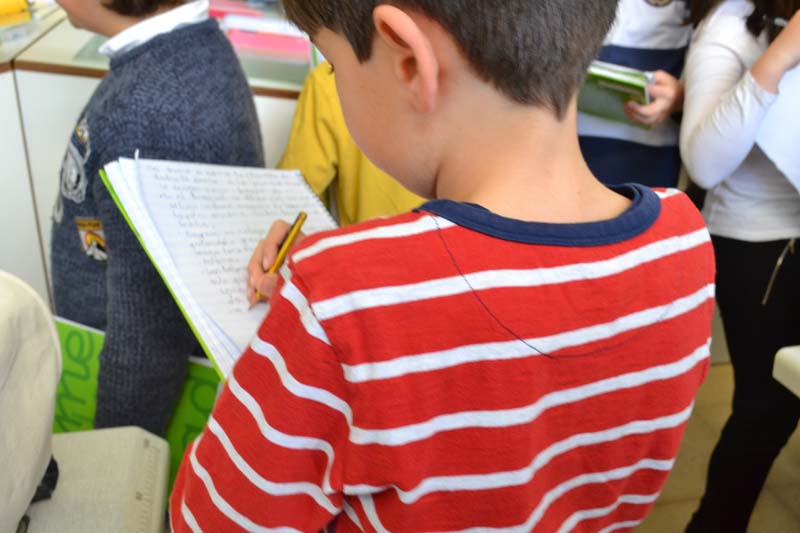 ceip_c (4)