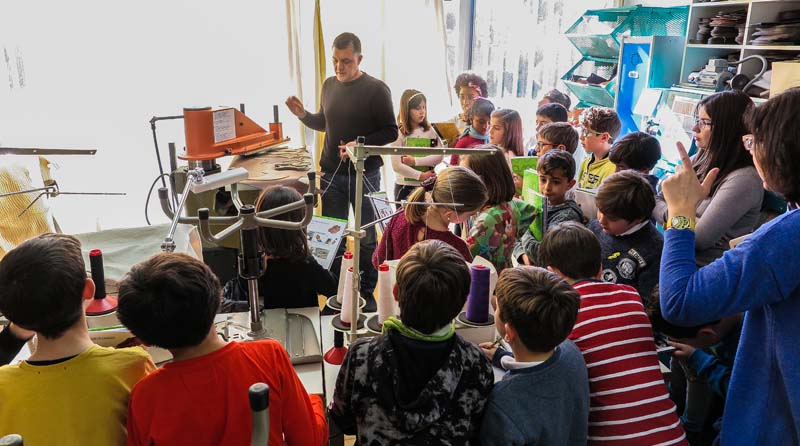 ceip_d (4)