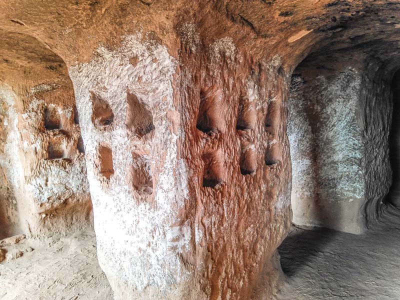 cuevas_d (1)