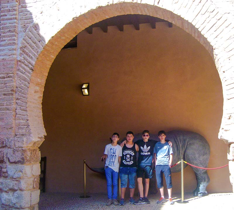 tole_b (6)