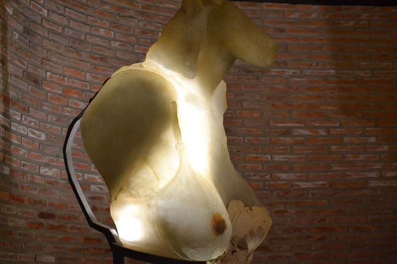 expo_h (5)