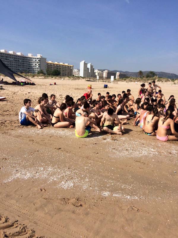 2dia_d (3)