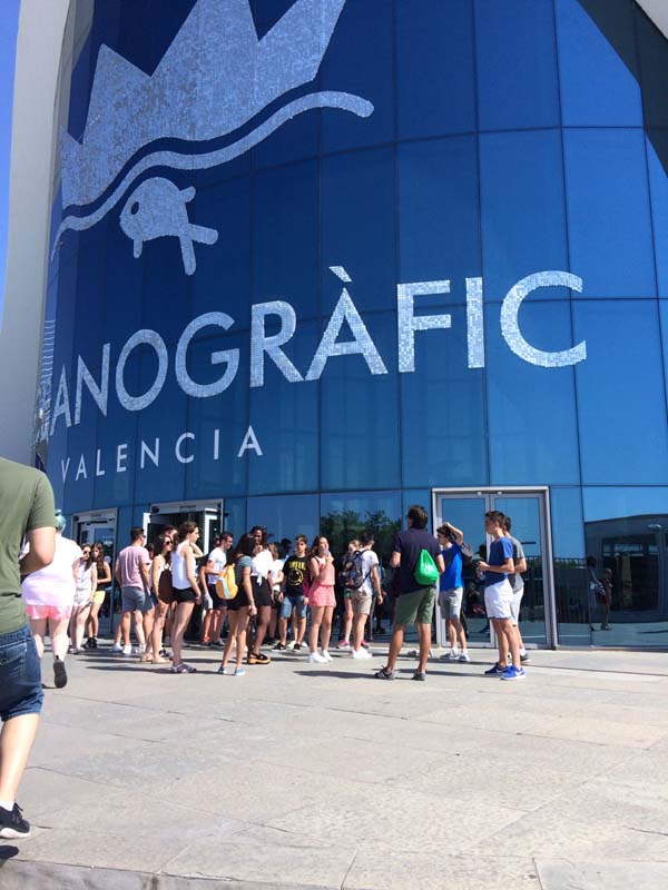 4dia_c (1)