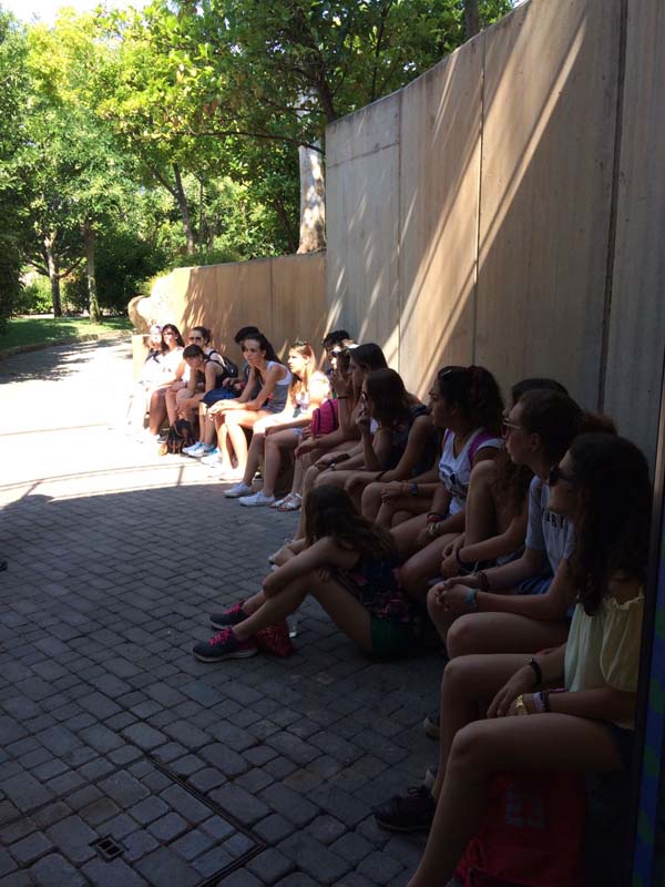 6dia_b (3)