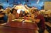 portaventura (3)