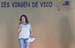 gradua_b (3)