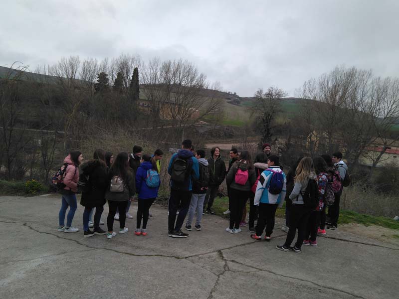 romanico_d (8)