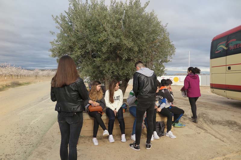 eco_d (3)