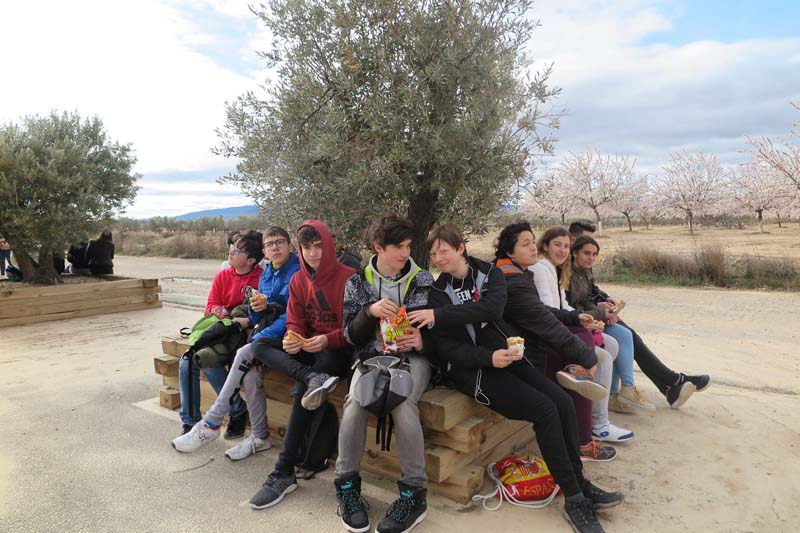 eco_d (6)