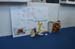 feria_fp_c (6)