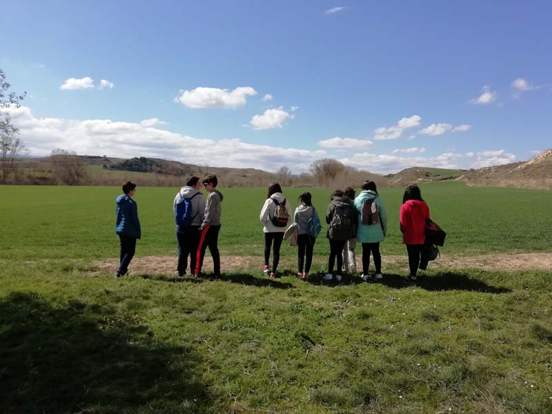 romanico_d (4)