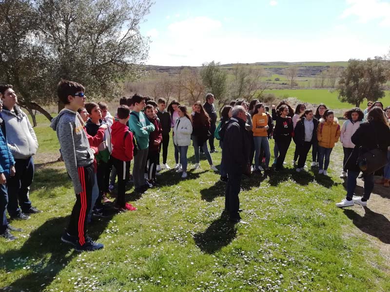romanico_d (7)