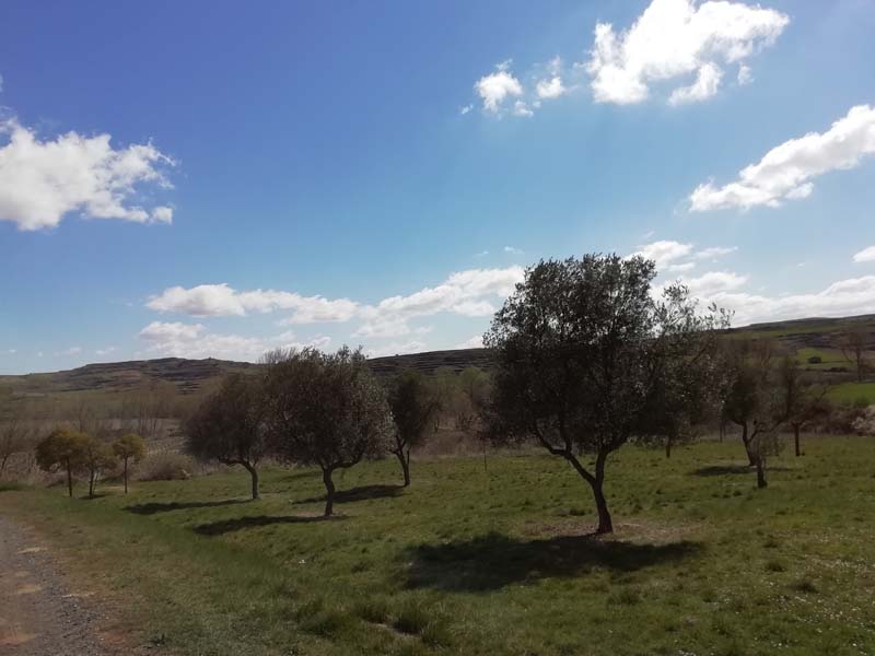 romanico_e